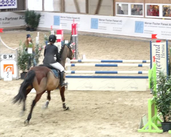 Reitturnier Henau 2019