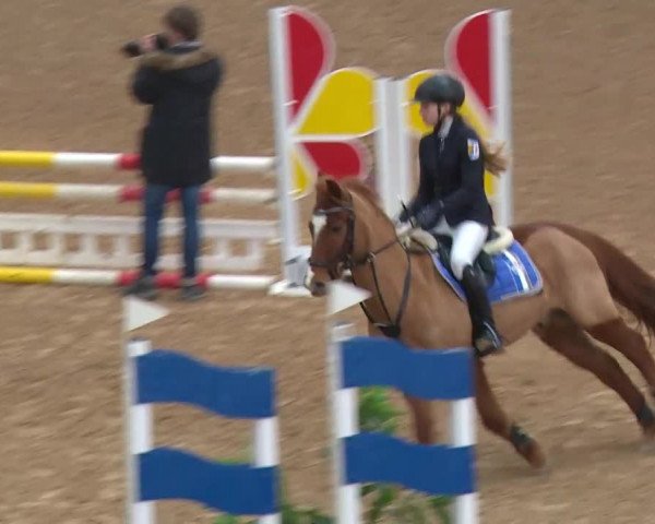 Reitturnier Kreuth/Opf. 2019