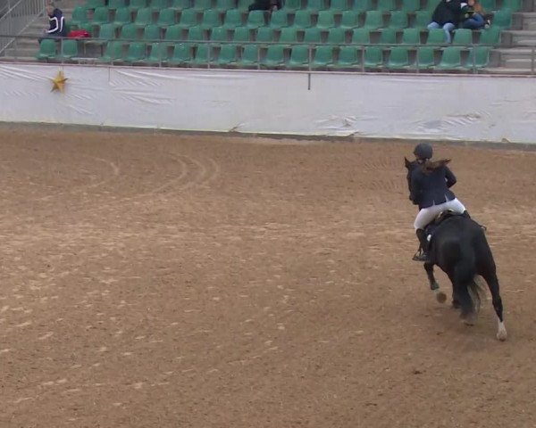 Reitturnier Kreuth/Opf. 2019