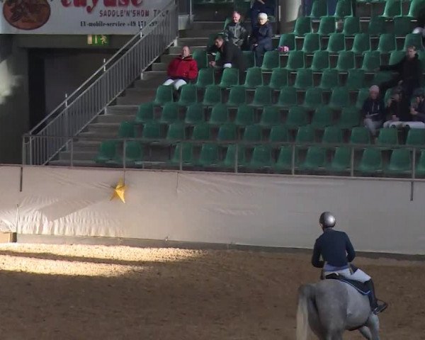 Reitturnier Kreuth/Opf. 2019