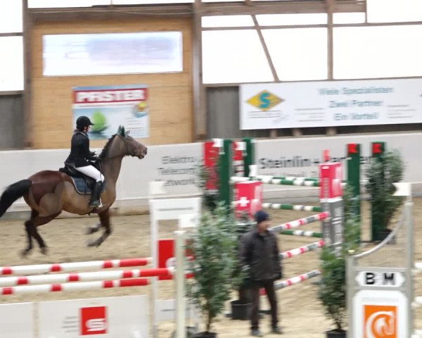 Reitturnier Henau 2019