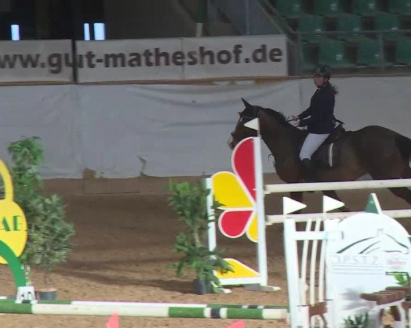Reitturnier Kreuth/Opf. 2019
