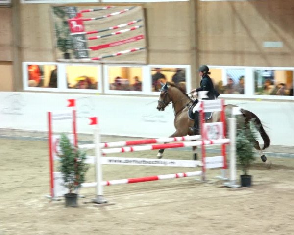 Turniej Jeździecki Henau 2019