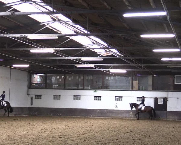 Reitturnier Ascheberg 2021