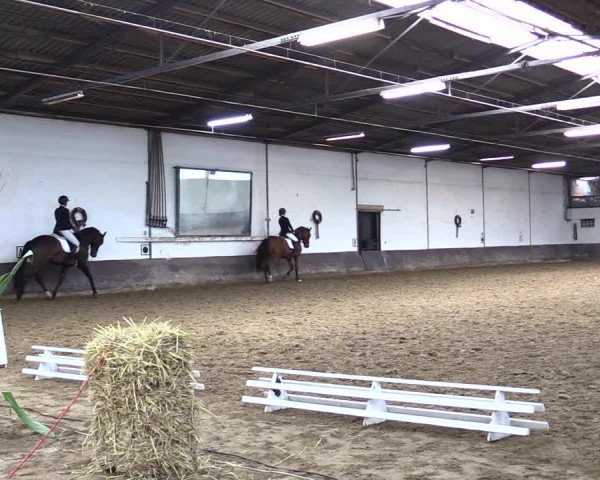 Reitturnier Ascheberg 2021
