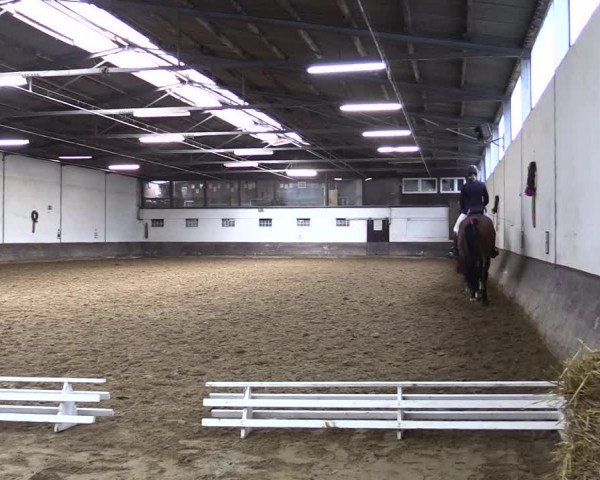 Reitturnier Ascheberg 2021