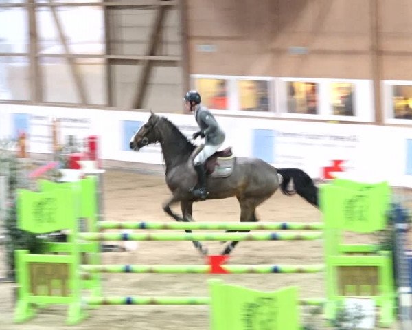 Reitturnier Henau 2019