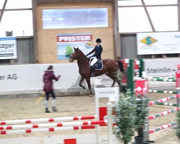Reitturnier Henau 2019