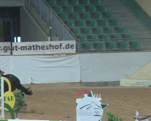Reitturnier Kreuth/Opf. 2019