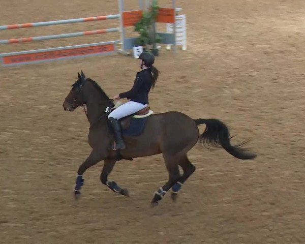 Reitturnier Kreuth/Opf. 2019