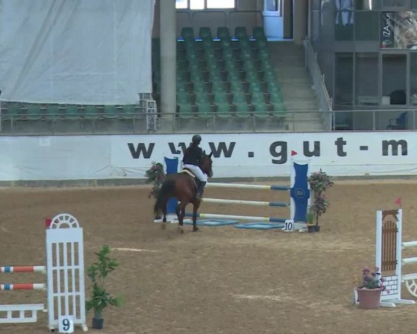 Reitturnier Kreuth/Opf. 2019