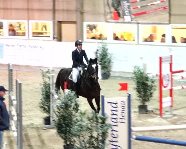 Reitturnier Henau 2019