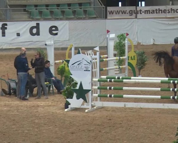Reitturnier Kreuth/Opf. 2019