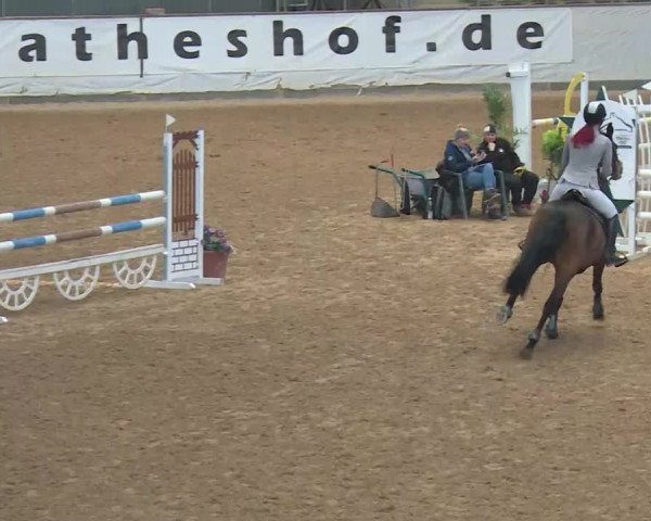 Reitturnier Kreuth/Opf. 2019