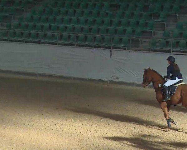 Reitturnier Kreuth/Opf. 2019