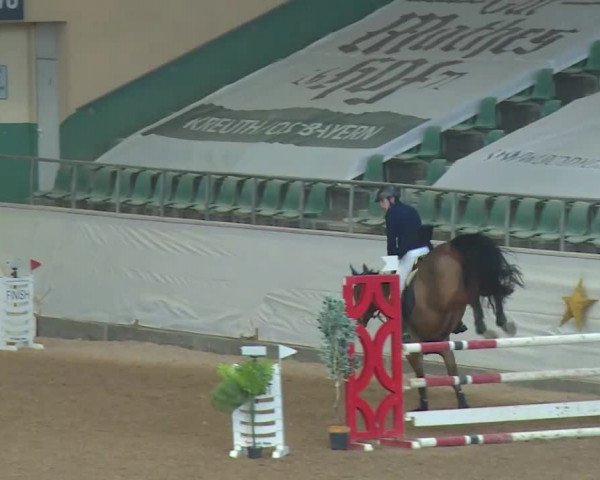 Reitturnier Kreuth/Opf. 2019