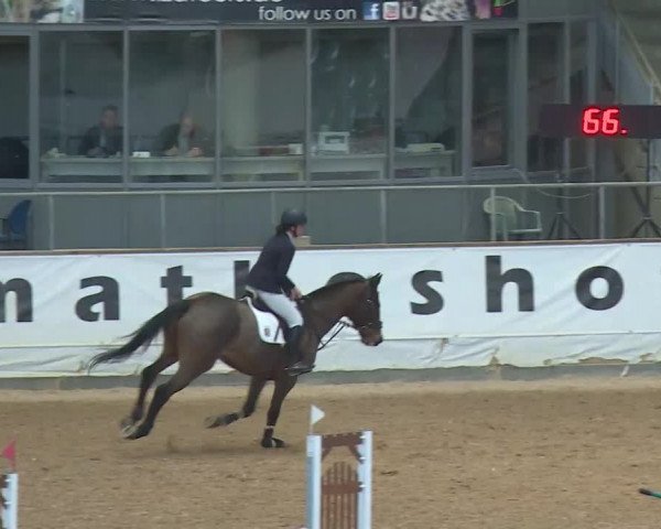 Reitturnier Kreuth/Opf. 2019