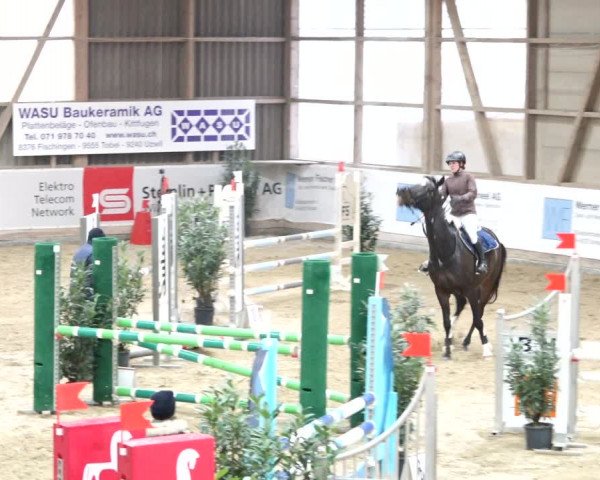 Reitturnier Henau 2019