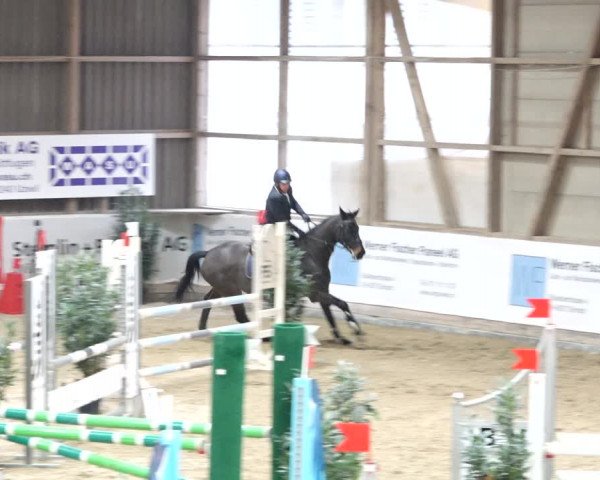 Reitturnier Henau 2019