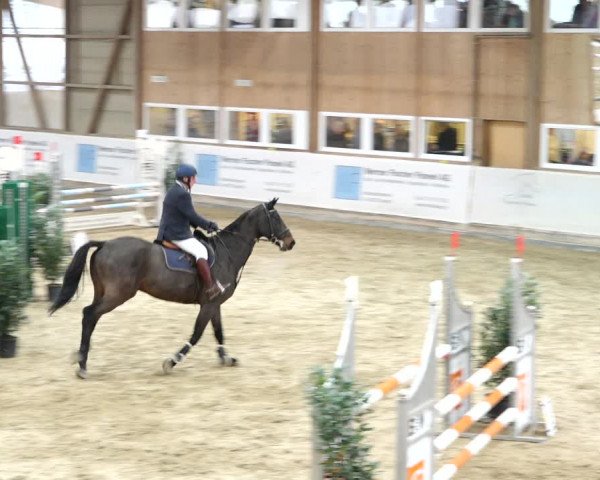 Reitturnier Henau 2019