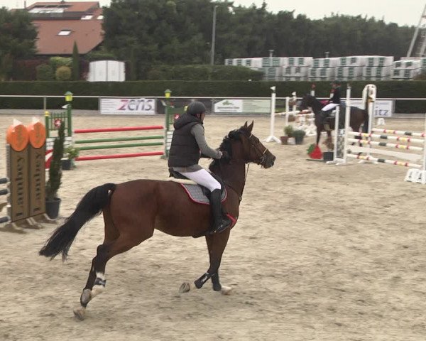 Reitturnier Durmersheim-Hardt 2021