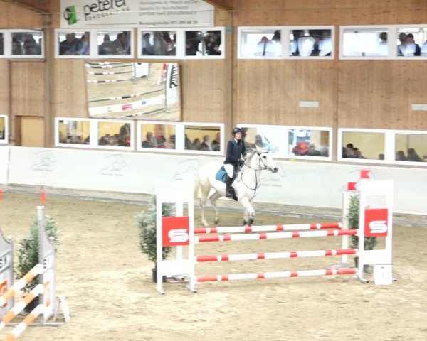 Reitturnier Henau 2019