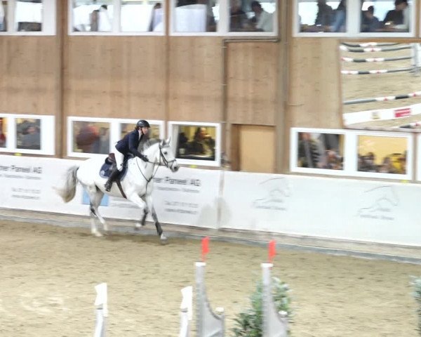Reitturnier Henau 2019
