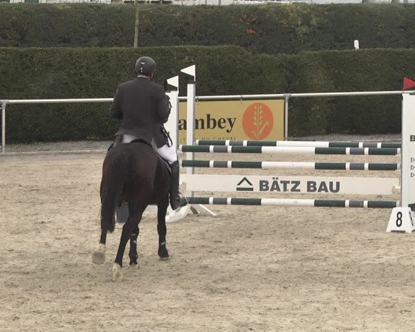 Reitturnier Durmersheim-Hardt 2021