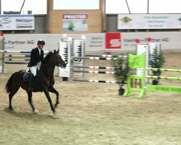 Reitturnier Henau 2019