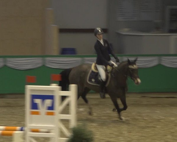 Reitturnier Gahlen 2020