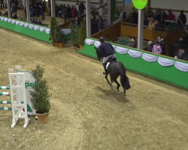 Reitturnier Gahlen 2020