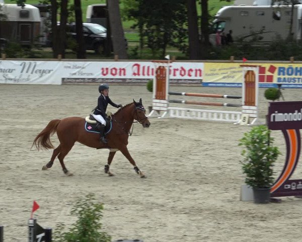 Reitturnier Westergellersen 2021