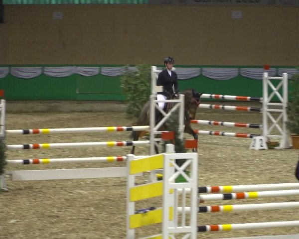 Reitturnier Gahlen 2020