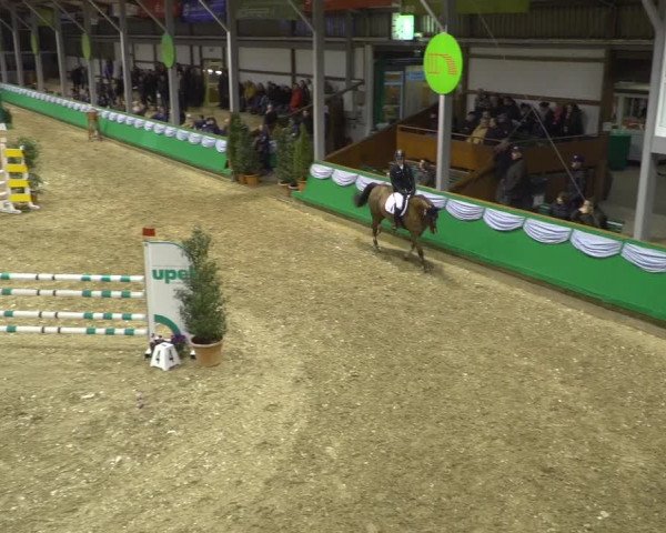 Reitturnier Gahlen 2020
