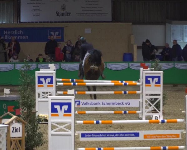 Reitturnier Gahlen 2020
