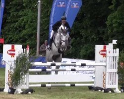 jumper Chento 4 (Oldenburg show jumper, 2010, from Chacco-Blue)