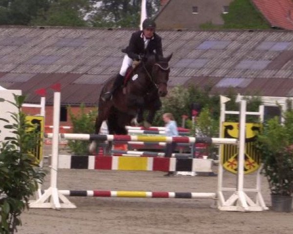 jumper Cafe's Star (Oldenburg show jumper, 2010, from Cafe au lait 2)