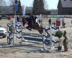 jumper Calensky 2 (Oldenburg show jumper, 2011, from Corlensky G II)