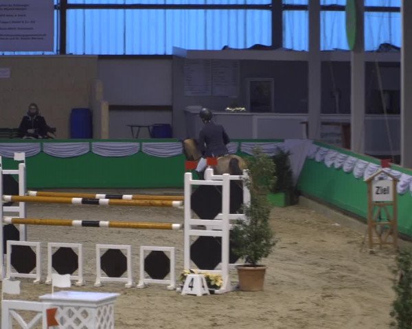 Reitturnier Gahlen 2020