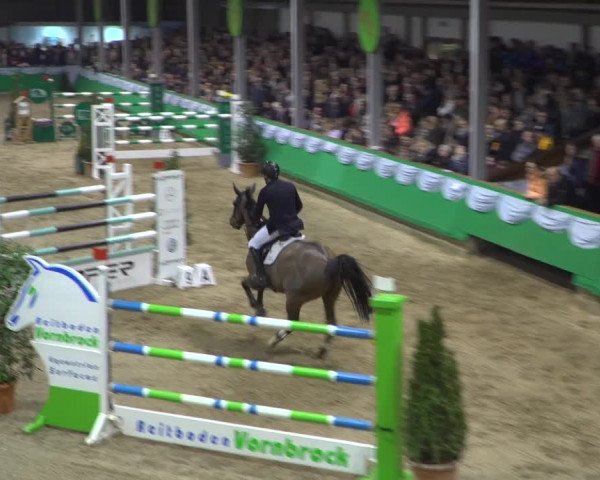 Reitturnier Gahlen 2020