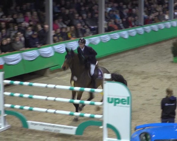 Reitturnier Gahlen 2020