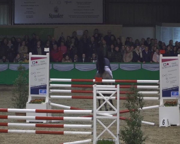Reitturnier Gahlen 2020