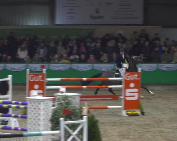 Reitturnier Gahlen 2020