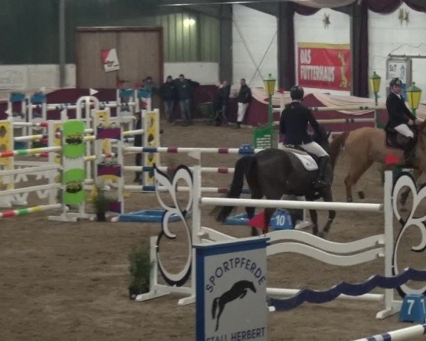 Reitturnier Eppelheim 2020