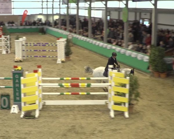 Equestrian Show Gahlen 2020