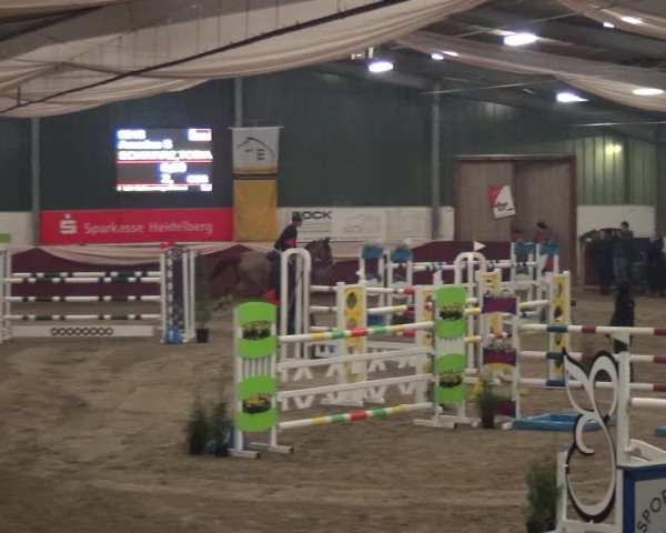 Reitturnier Eppelheim 2020