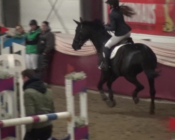 Reitturnier Eppelheim 2020