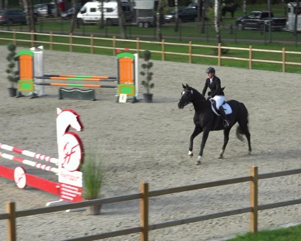 Reitturnier Westergellersen 2021