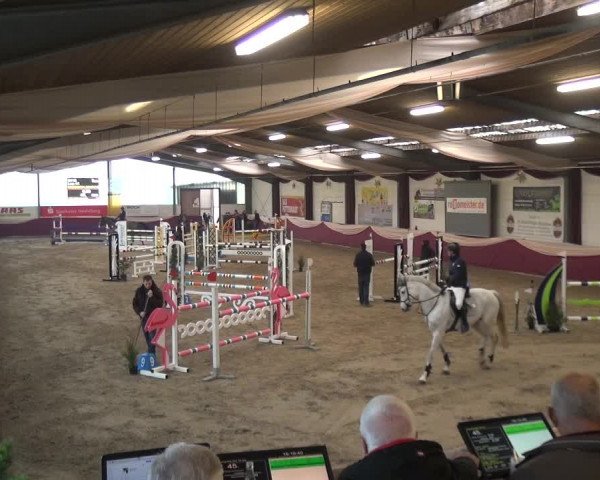 Jezdecký turnaj Eppelheim 2020