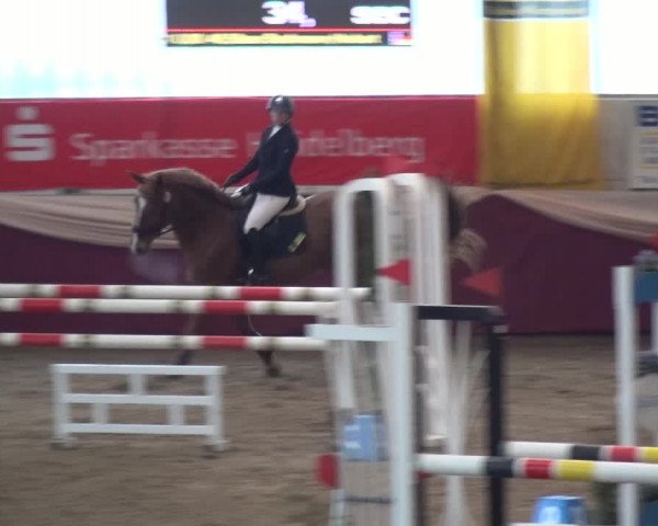 Reitturnier Eppelheim 2020